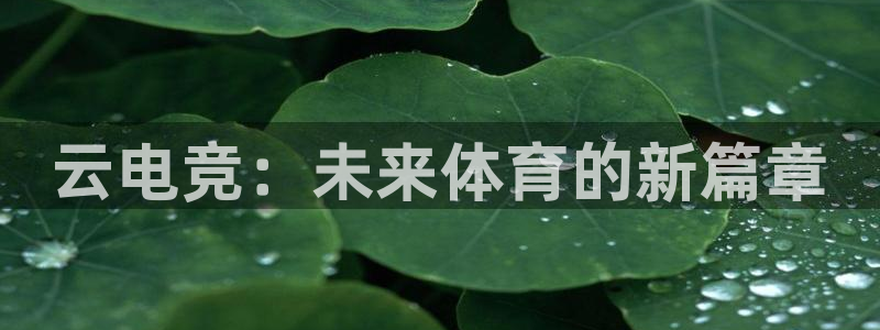 乐竞电竞官网官方网站：云电竞：未来体育的