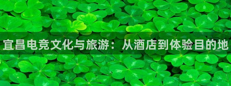 乐竞电竞网站官网：宜昌电竞文化与旅游：从酒店到体验目的地