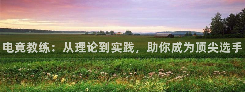 乐竞电竞平台下载：电竞教练：从理论到实践