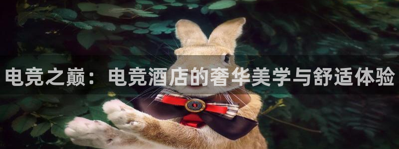 乐竞电竞登录网页入口：电竞之巅：电竞酒店的奢华美学与舒适体验