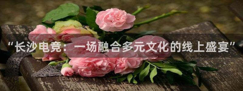 乐竞电竞：“长沙电竞：一场融合多元文化的线上盛宴”
