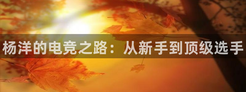 乐竞电竞官网介绍：杨洋的电竞之路：从新手到顶级选手