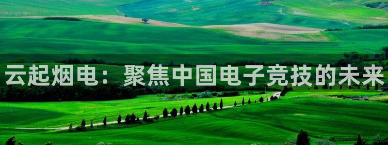 乐竞电竞官网最新下载绿色版：云起烟电：聚