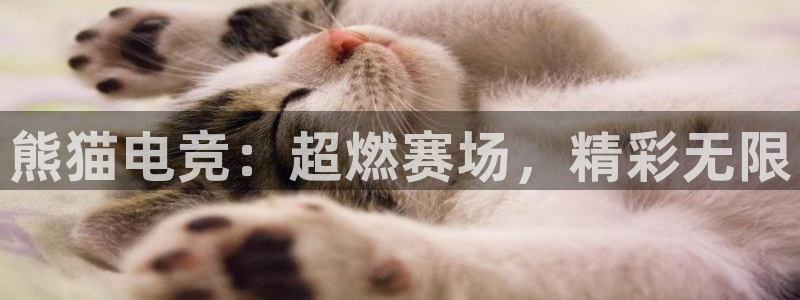 乐竞电竞官网登录入口：熊猫电竞：超燃赛场，精彩无限