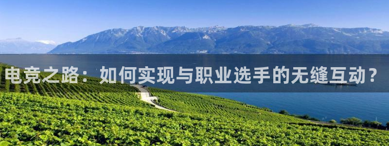 乐竞电竞ly79点cn：电竞之路：如何实