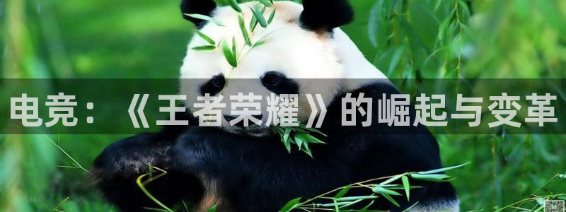 乐竞电竞官网最新下载绿色版：电竞：《王者