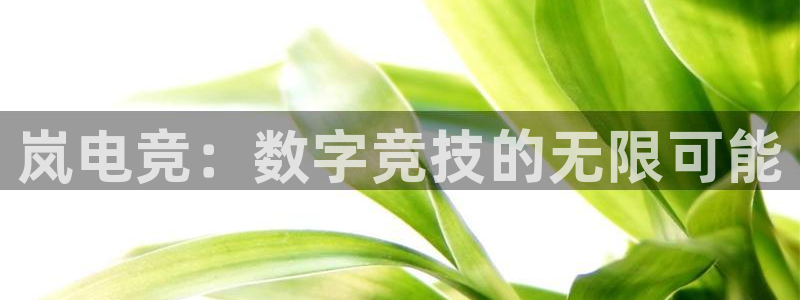 乐竞电竞官网登录入口：岚电竞：数字竞技的